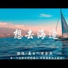 夏日入侵企畫 - 想去海邊 Cover By 城市浪橘