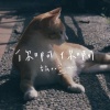 魏如萱 (waa wei) - 你啊你啊 Cover By 城市浪橘