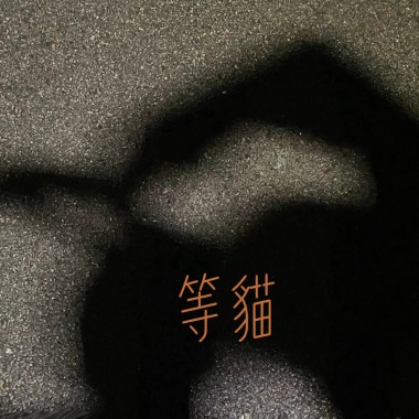 等貓