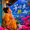 等你來聽雨 ｜ 滴滴答答都是情話