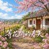 等花開的春天  |  懷舊閩南語歌曲  |
