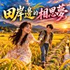 田岸邊的相思夢   |   懷舊閩南語歌曲