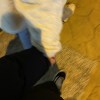 I’m always by your side