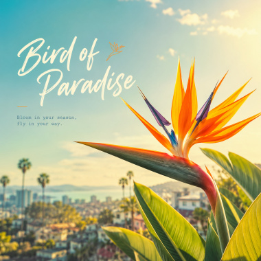 Bird of Paradise