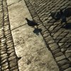 midi習作 無題
