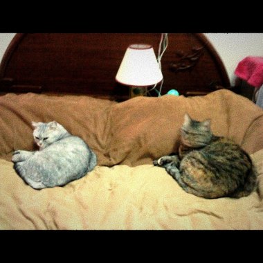 In My Bed
