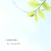 夏天來到 （露水十一合輯版）