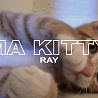 Ray - Ma Kitty