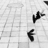I see hope - Demo