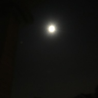 Sweet dreams