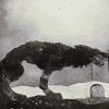 Fenrir