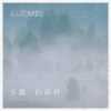 While the Misty Drops 多霧的森林
