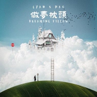 做夢枕頭 Dreaming pillow