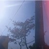 嗯很奇怪(intro)