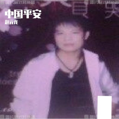 中国平安-赵源龙
