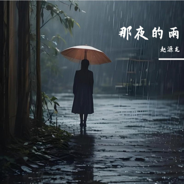 那夜的雨