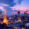迷失东京(TOKYO)