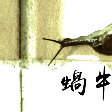 蝸牛｜Snail