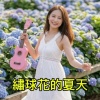 繡球花的夏天，林靖超
