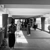 中山公园站 demo