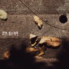 遍地是花 demo
