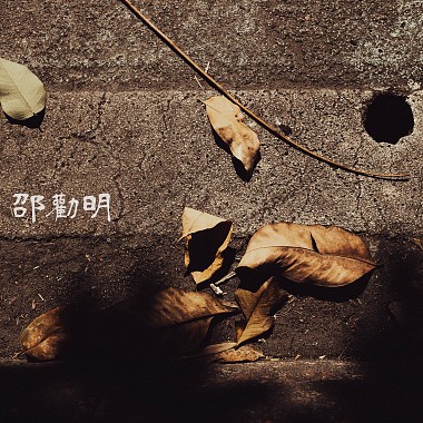 遍地是花