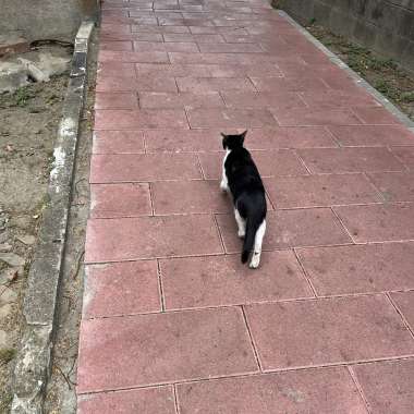 擦肩，之後奔跑