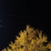 我在半夜醒来(demo)