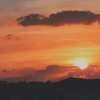 未如愿的夏日行奏(demo)