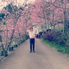 告白頌 demo