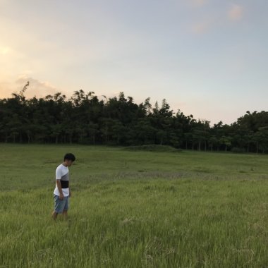 讓我在你的草原流浪 demo
