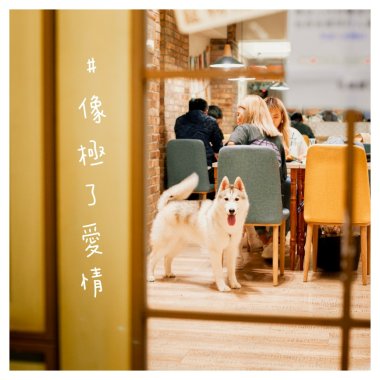 #像極了愛情（feat.Wednesday）