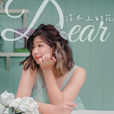 浮木上的花mp3