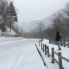 已毒不回