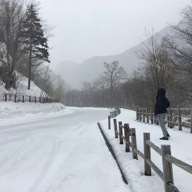 已毒不回