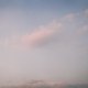 喵喵
