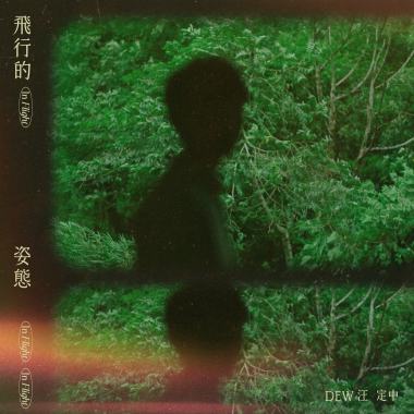 飛行的姿態