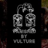 Vanished by Vulture (live 2025)