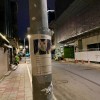 尋貓啟示 (demo)