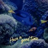 今天是看魚的好日子