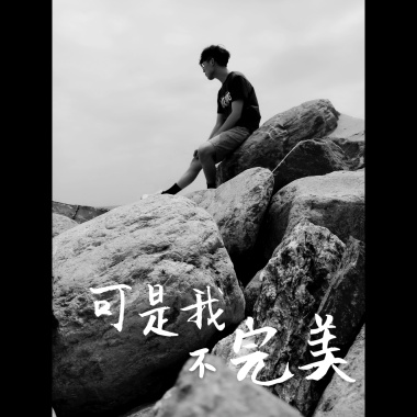 張孟權 - 可是我不完美