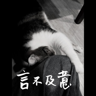 張孟權 - 言不及意