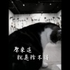 張孟權 - 原來這就是捨不得