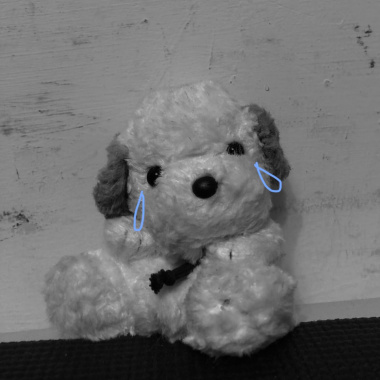 Puppy Love（demo）