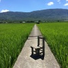 躲一躲