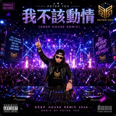 我發了瘋的愛你 Disco House Remix