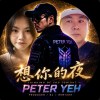 想你的夜