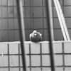 home (demo)