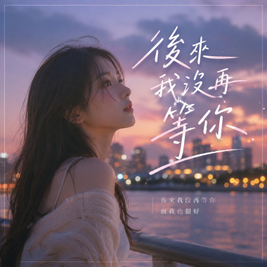 後來我沒再等你