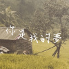 你是我的夢